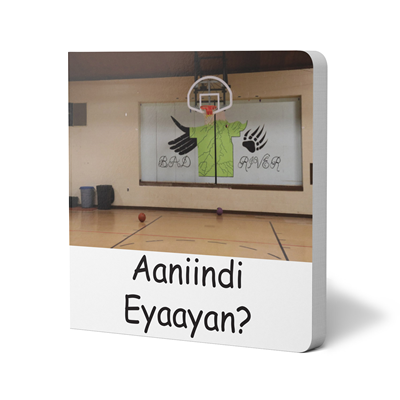 Aaniindi Eyaayan?