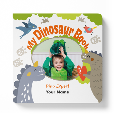 My Dinosaur Board Book