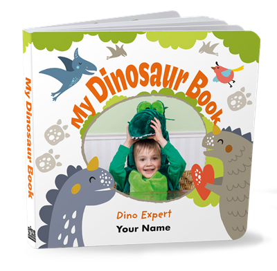 My Dinosaur Book